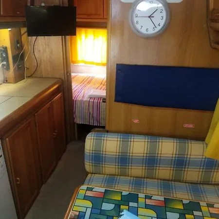 Camping Into The Wild - Camper *